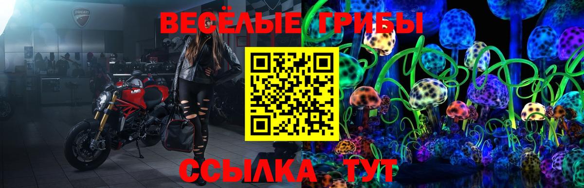 Петропавловск-Камчатский  Псилоцибиновые грибы Magic Shrooms  Вход с VPN 